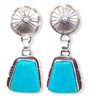 Native American Earrings - Abstract Shaped Kingman Turquoise Post Earrings - Samson Edsitty