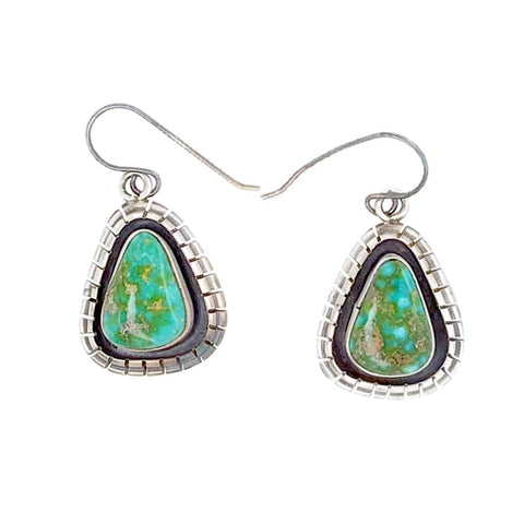 Image of Native American Earrings - Navajo Sonoran Gold Turquoise Earrings - Esther Spencer