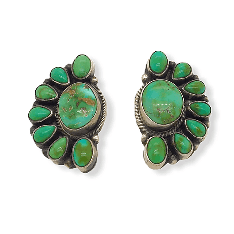 Image of Native American Earrings - Navajo Sonoran Turquoise Cluster Earrings