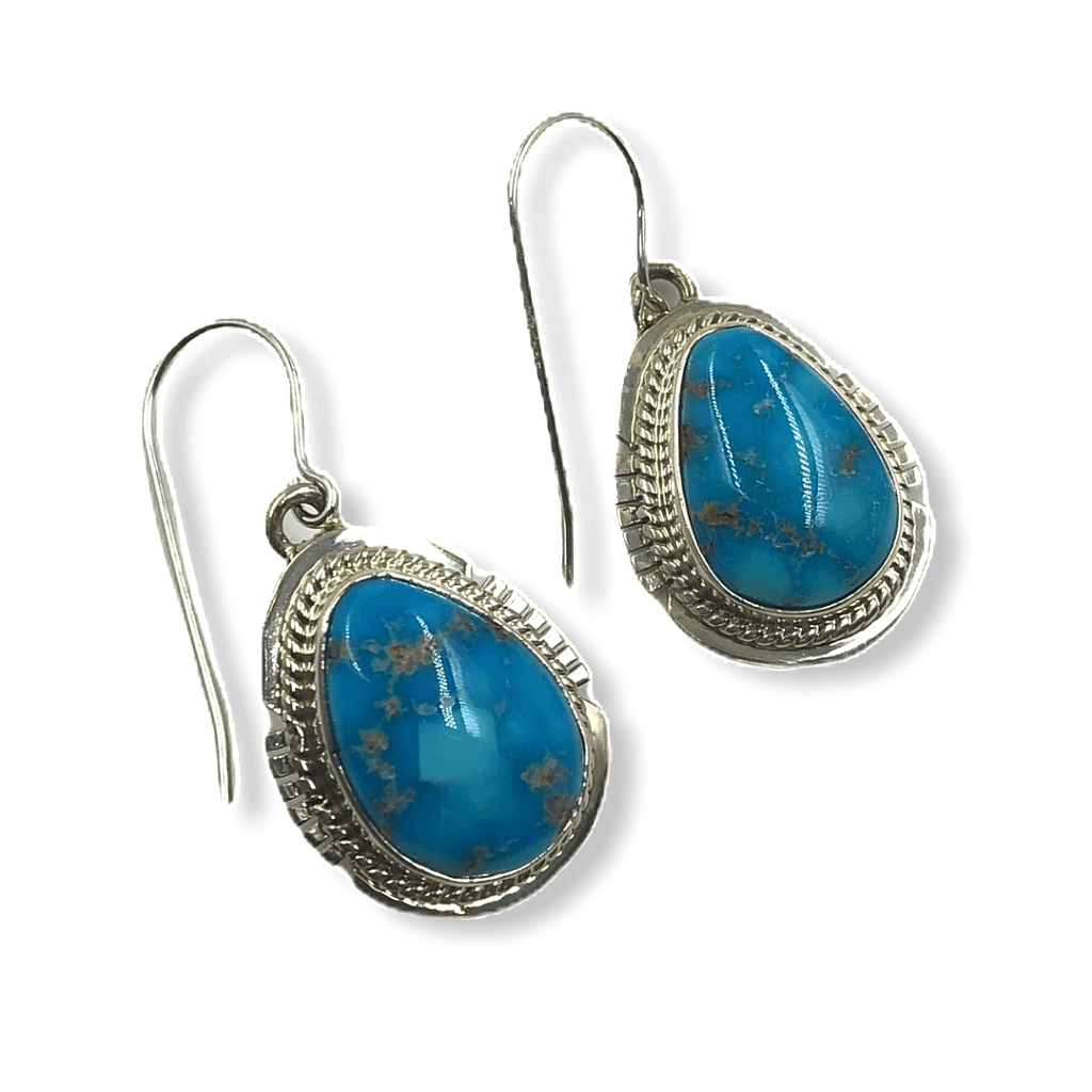 Indian Turquoise Sterling Silver Hook Earrings – The Pearl of Door County